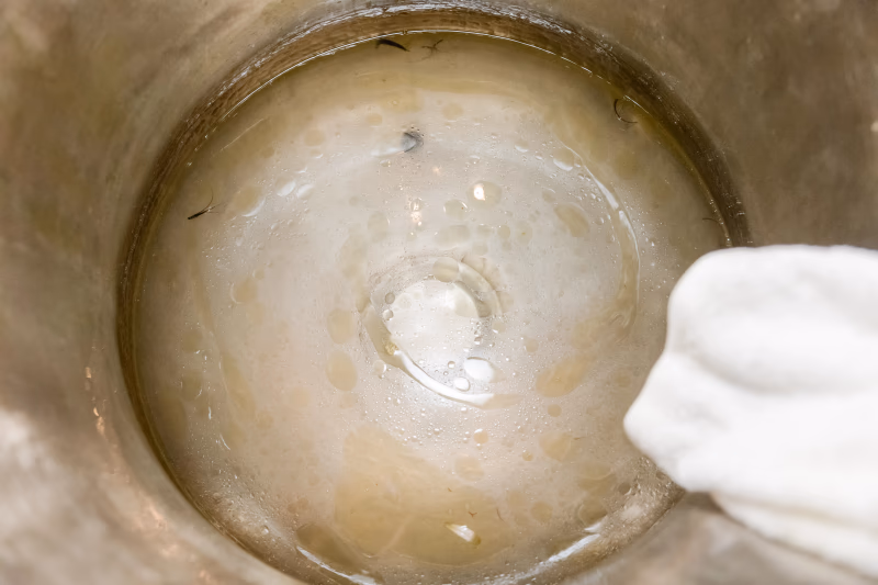 A Beary Happy Day - Εικόνα 7