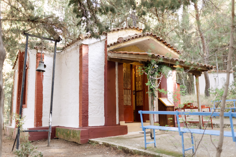 Kate in Woodland - Εικόνα 4