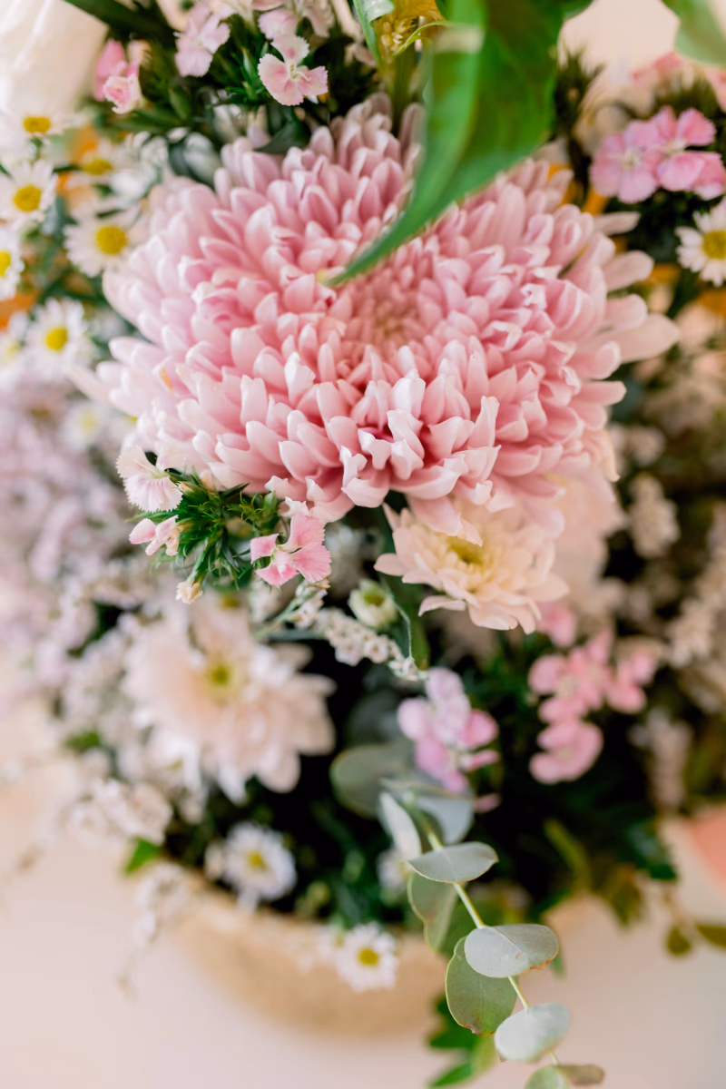 Kate in Woodland - Εικόνα 8