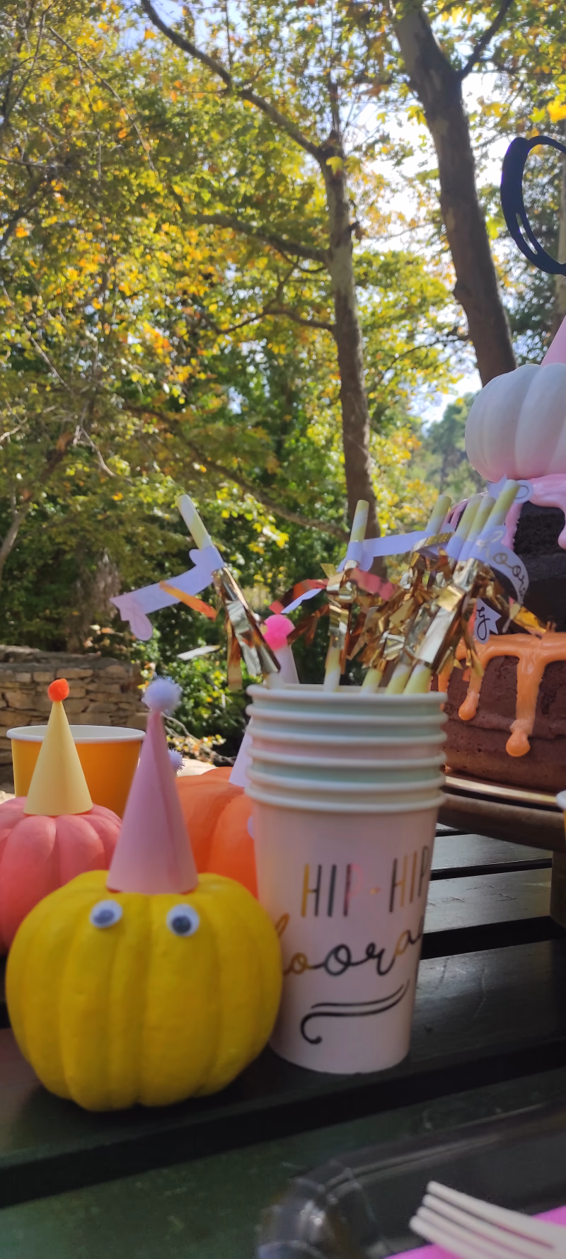 Pumpkin Birthday Party - Εικόνα 3